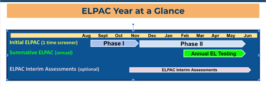 Year at a glance graphic