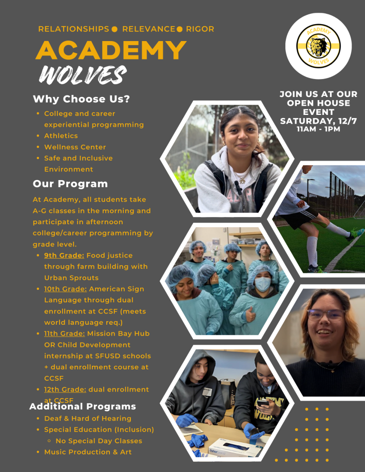 Academy Program Description 