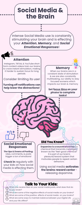 Social Media and the Brain Infographic English Version