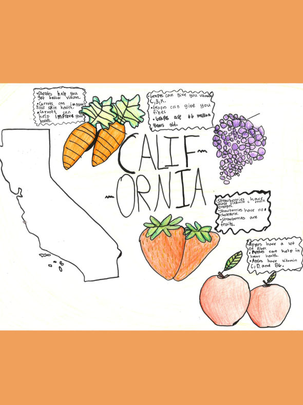 Student art: California fruits and veggie facts