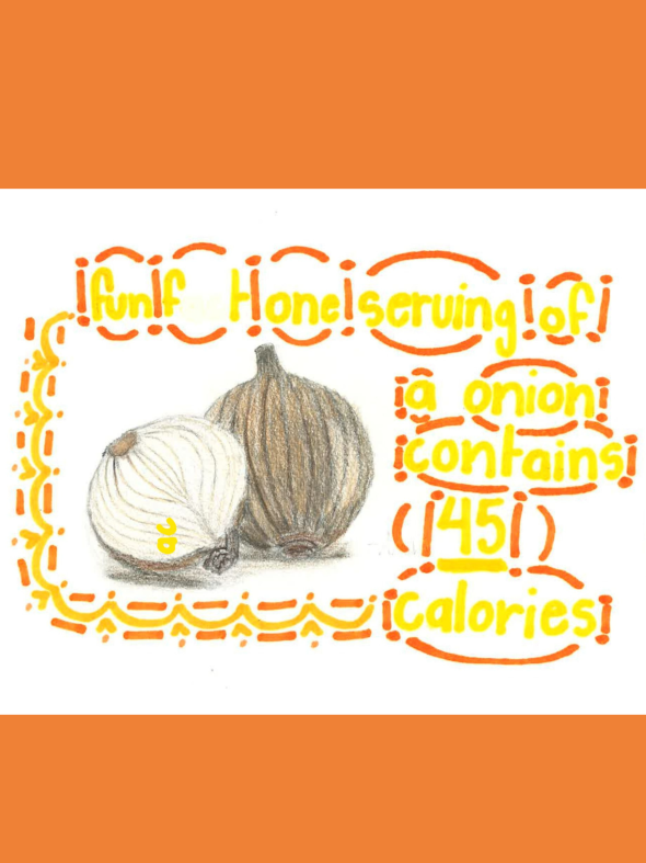 Student art: Onion fun facts