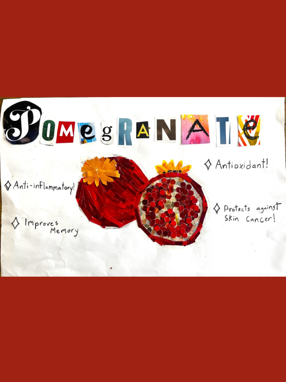 Student Art: Pomegranate collage