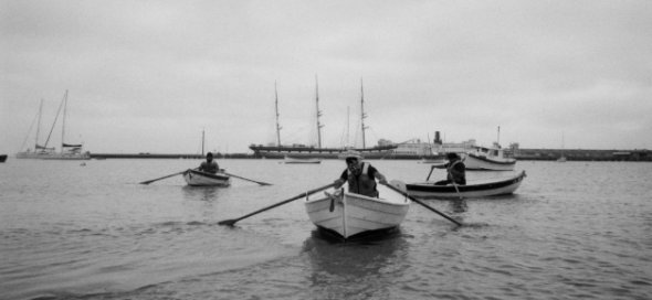 three rowboats at a distance in the bay