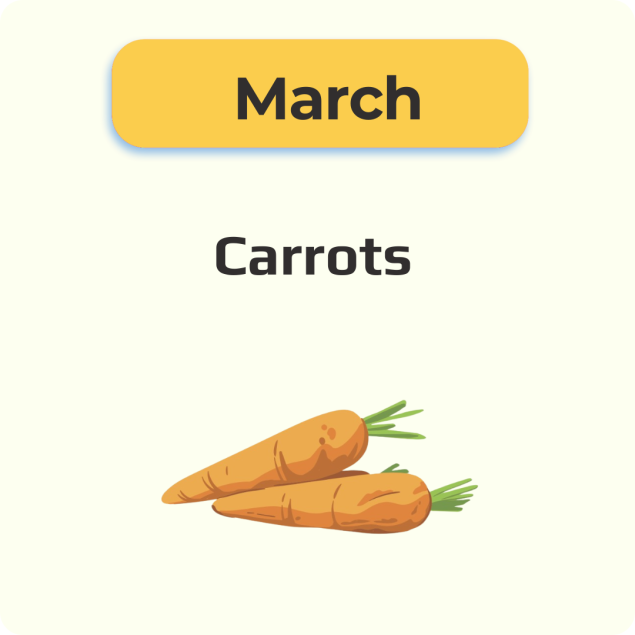 Harvest of the Month Carrots